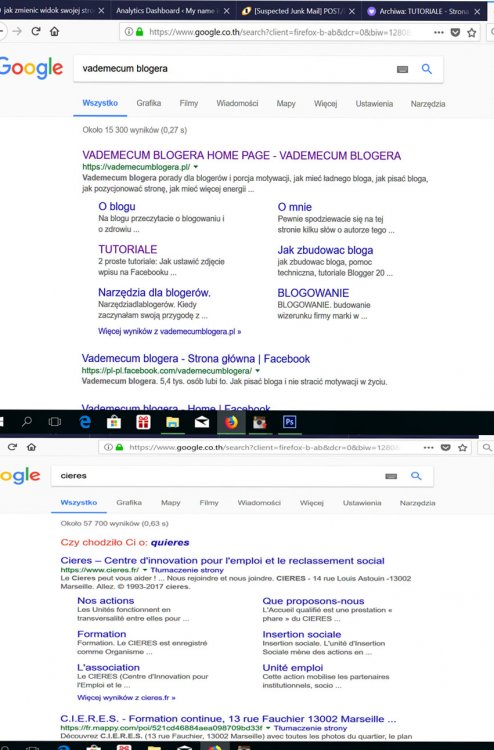 widocznosc w google.JPG